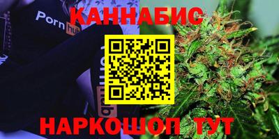 сатива Канаш