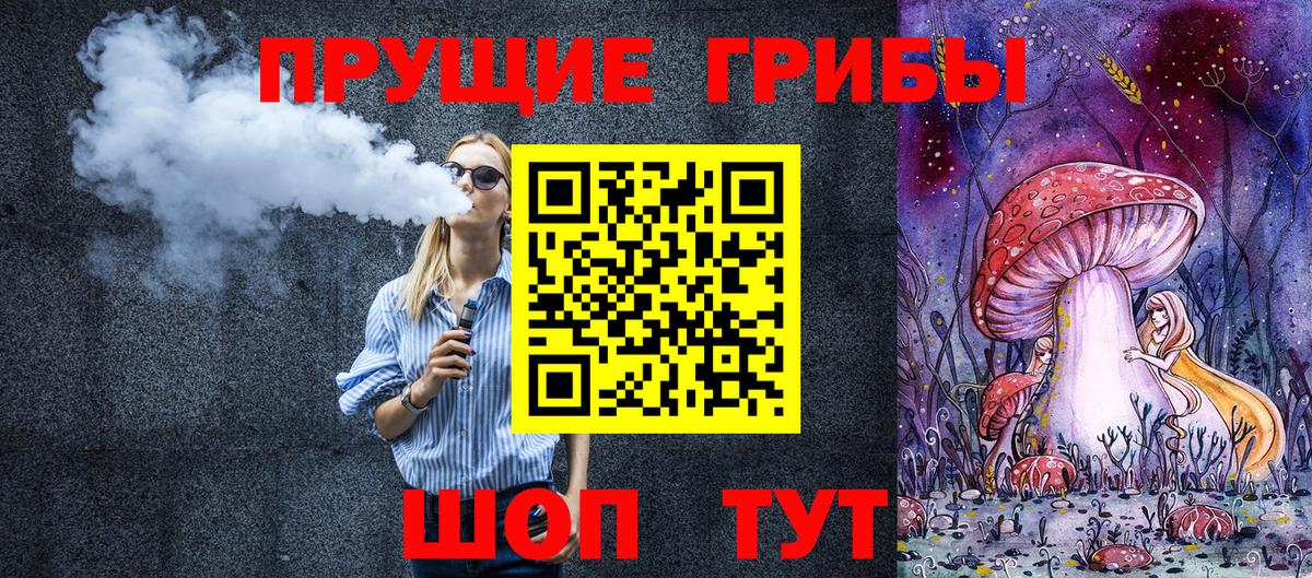 Псилоцибиновые грибы Psilocybe Кумертау